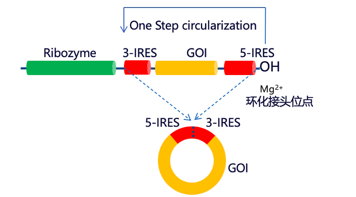 undefined undefined